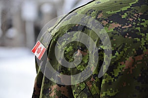 Canadian Soldier Standing Guard