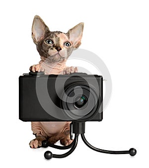 The Canadian sphynx with camera