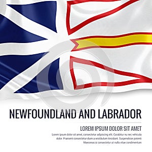 Canadian state Newfoundland and Labrador flag.