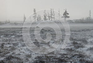 Canadian tundra. Churchill National Park, Canada. Arctic landscape.