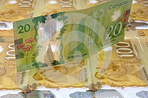 Canadian Twenty Dollar Bill