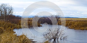 Canadian Wet Lands with view of Rocky Mountains