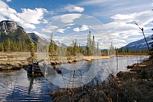 Canadian Wilderness photo