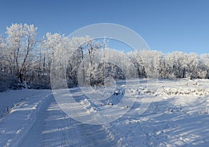 Canadian winter