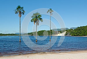 Canaima lagoon, Venezuela