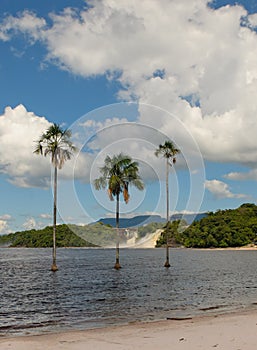 Canaima lagoon, Venezuela