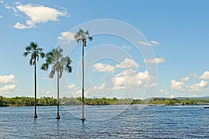 Canaima lagoon, Venezuela