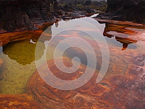 Canaima National Park. Venezuela.