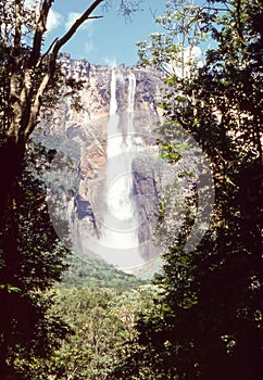 Canaima National Park - Venezuela: Angel Falls the world`s tallest uninterrupted waterfall. South America