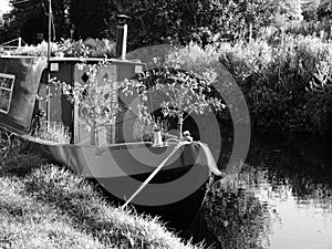 Canal barge with small fruit trees growing river