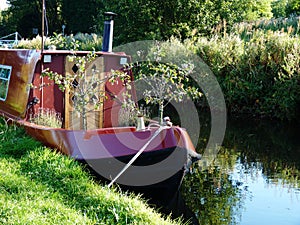 Canal barge with small fruit trees growing river