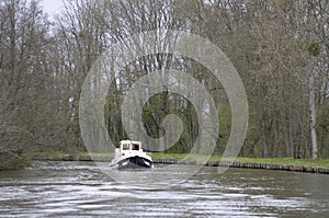 Canal boat in front of large trees, Nivernais Canal, Burgundy