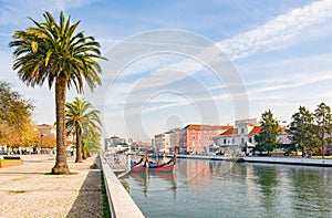 Canal boat gondola palm sunny Aveiro