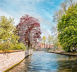 Canal in Bruges, Belgium