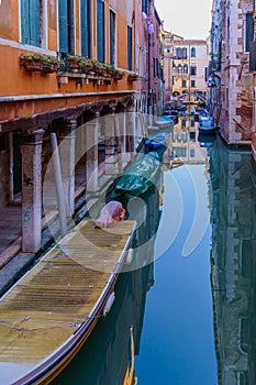 Canal, with buildings, bridges, boats, in Venice