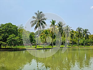 Canal with coconut trees and sky background