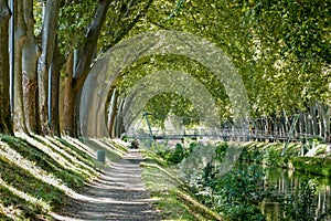 Canal de Brienne in Toulouse, France