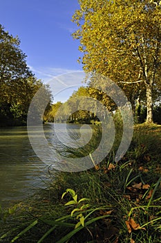 The canal du Midi