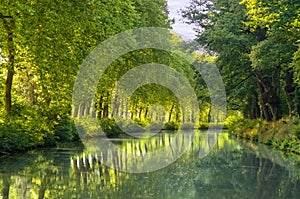 Canal du Midi, sycamore trees reflection in water, France