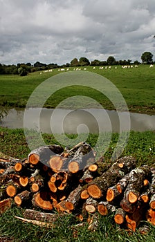 On the canal du Nivernais, velo, Chatillon en Bazois.