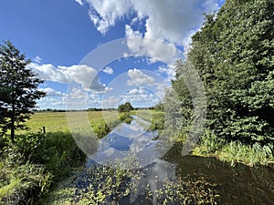 Canal and farmland around Lippenhuizen