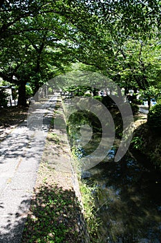 Canal of fresh verdure near Ginkakuji-michi, Kyoto, Japan