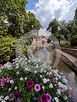 The canal through Little France, decorated with flower arrangements. Strasbourg.