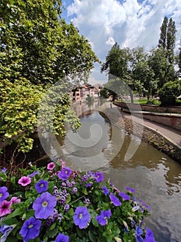 The canal through Little France, decorated with flower arrangements. Strasbourg.