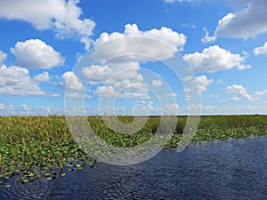 Canal through marshland in Southwest Florida