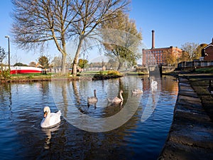 Canal Mill Manchester UK