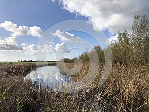 Canal in a nature reserve around Wolvega