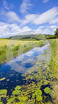 Canal Nature Reserve photo