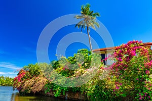 Canal in Negombo