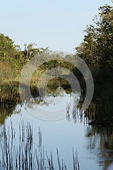 A canal out in the Everglades