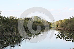 A canal out in the Everglades