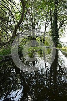 Canal in a park with fluent water