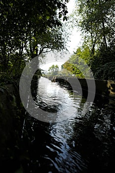 Canal in a park with fluent water