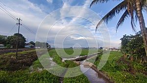 Canal river that irrigates rice fields and fields photo