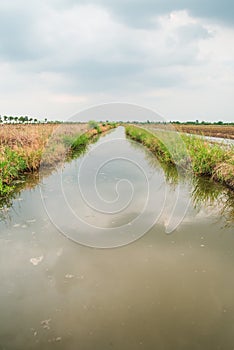 Canal soil at field for agriculture