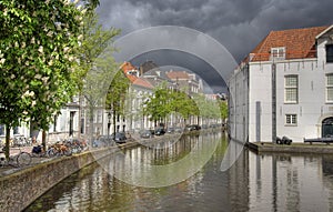 Canal with trees in Delft, Holland