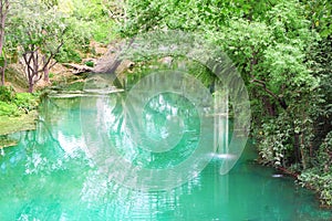 Canal in tropical forest