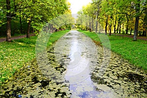 Canal in Tsarskoe Selo