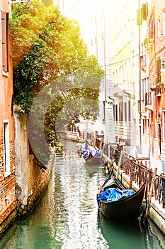 Canal with two gondolas in Venice, Italy. Architecture and landmarks of Venice. Summer sunny day in Venice.