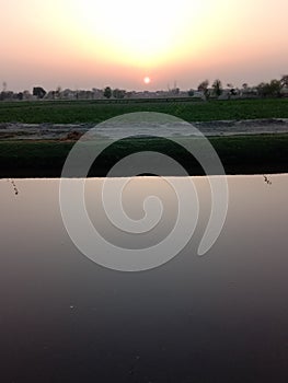 Canal view field Sunset