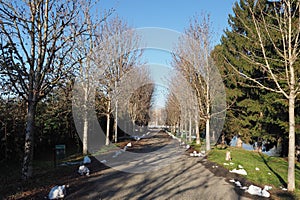 Canale Cavour avenue in Chivasso