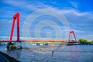 Canals and waterways in Rotterdam, the Netherlands