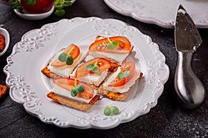 Canape  from  crackers with soft  cheese stracchino