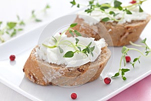 Canape with goat cheese