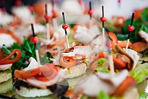 Canape with meat and vegetable