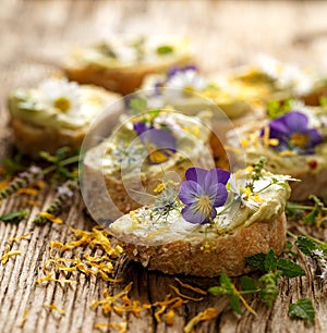 Canapes with eddible flowers and broad bean hummus